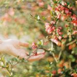 素手でトイレ掃除をする大切さ