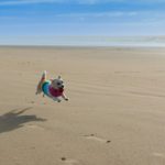 やりたいことしか、やらない