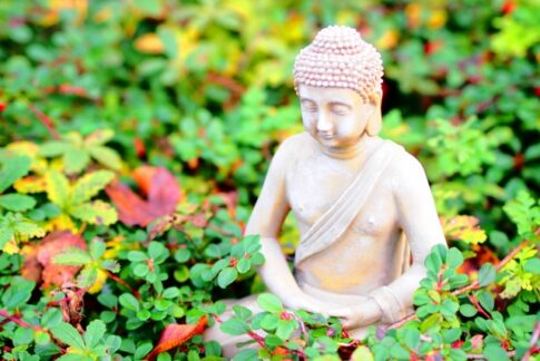 仏陀(ブッダ)の教えについて。釈迦との違いや名言などを徹底解説 | 仏陀倶楽部® / Buddha CluB