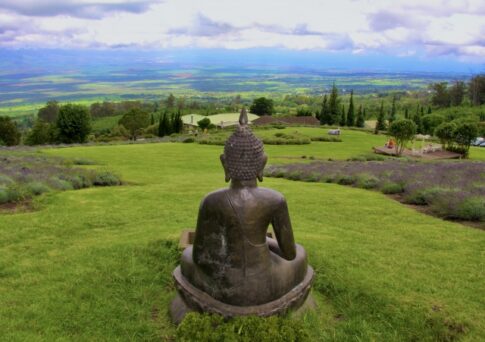 仏陀(ブッダ)の教えについて。釈迦との違いや名言などを徹底解説 | 仏陀倶楽部® / Buddha CluB
