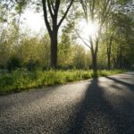 終わりのない道:親の介護で直面した緊急事態と苦悩を乗り越える仏教の教え