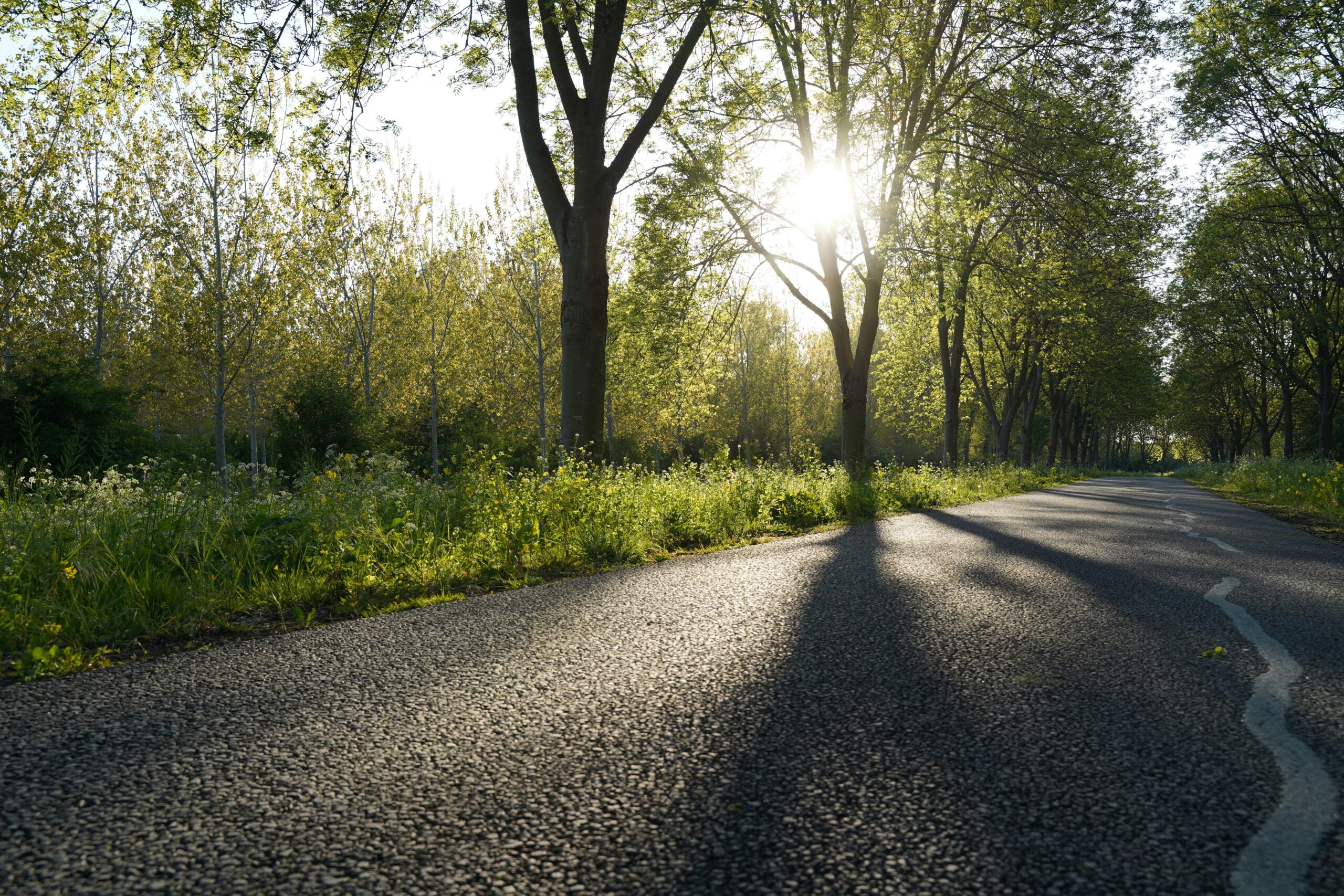 終わりのない道:親の介護で直面した緊急事態と苦悩を乗り越える仏教の教え