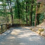 仏縁――比叡山で重なった不思議なご縁