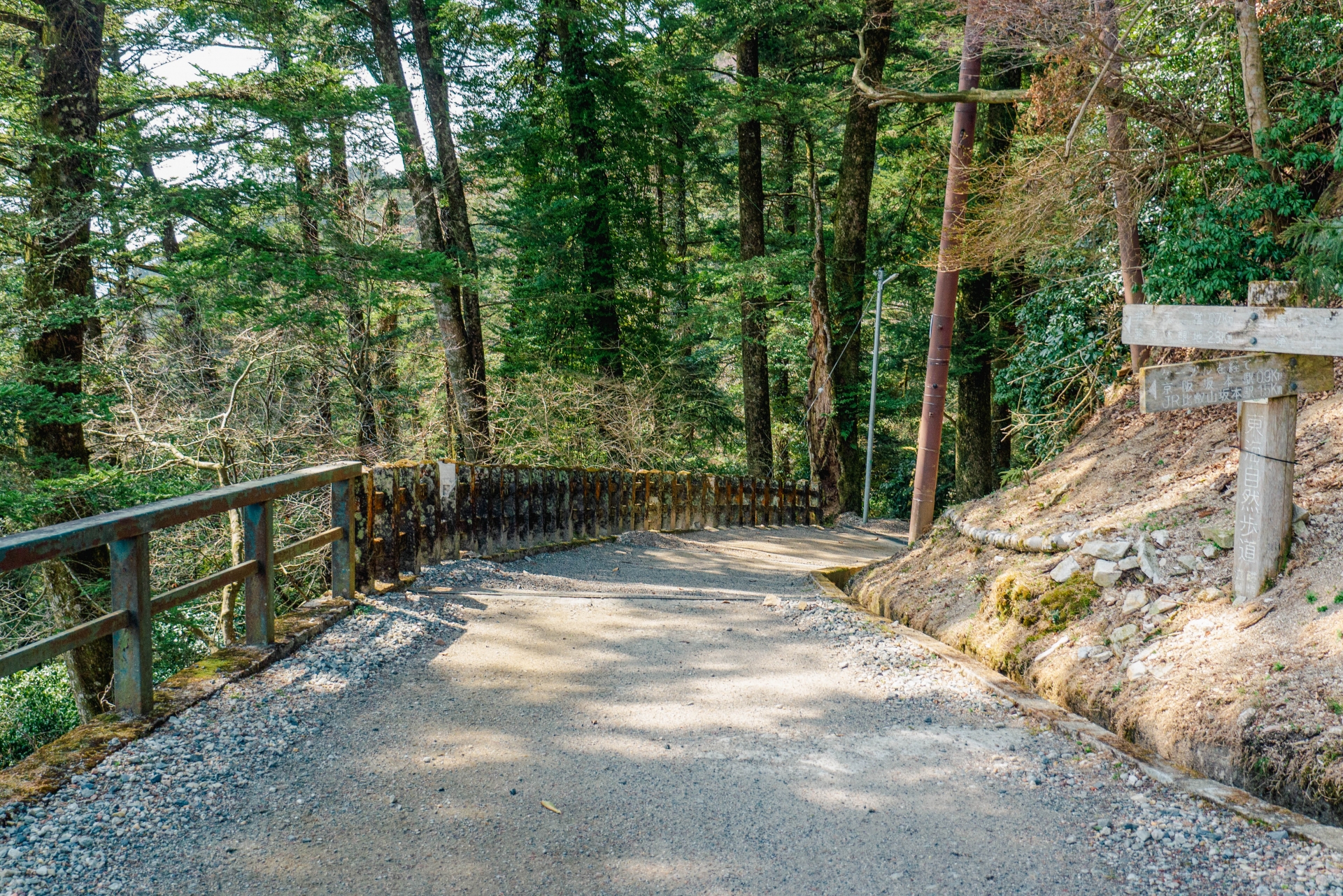 仏縁――比叡山で重なった不思議なご縁