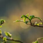 近くにいた法友と、勤行を続けてきた人の言葉