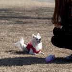 人のマナーに腹が立つとき――因果応報と自分の心を見つめる
