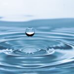自分を見つめ続けることで見えてきた「仏道」という生き方