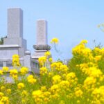 妻の一年忌で家族に伝えた浄土真宗の教え