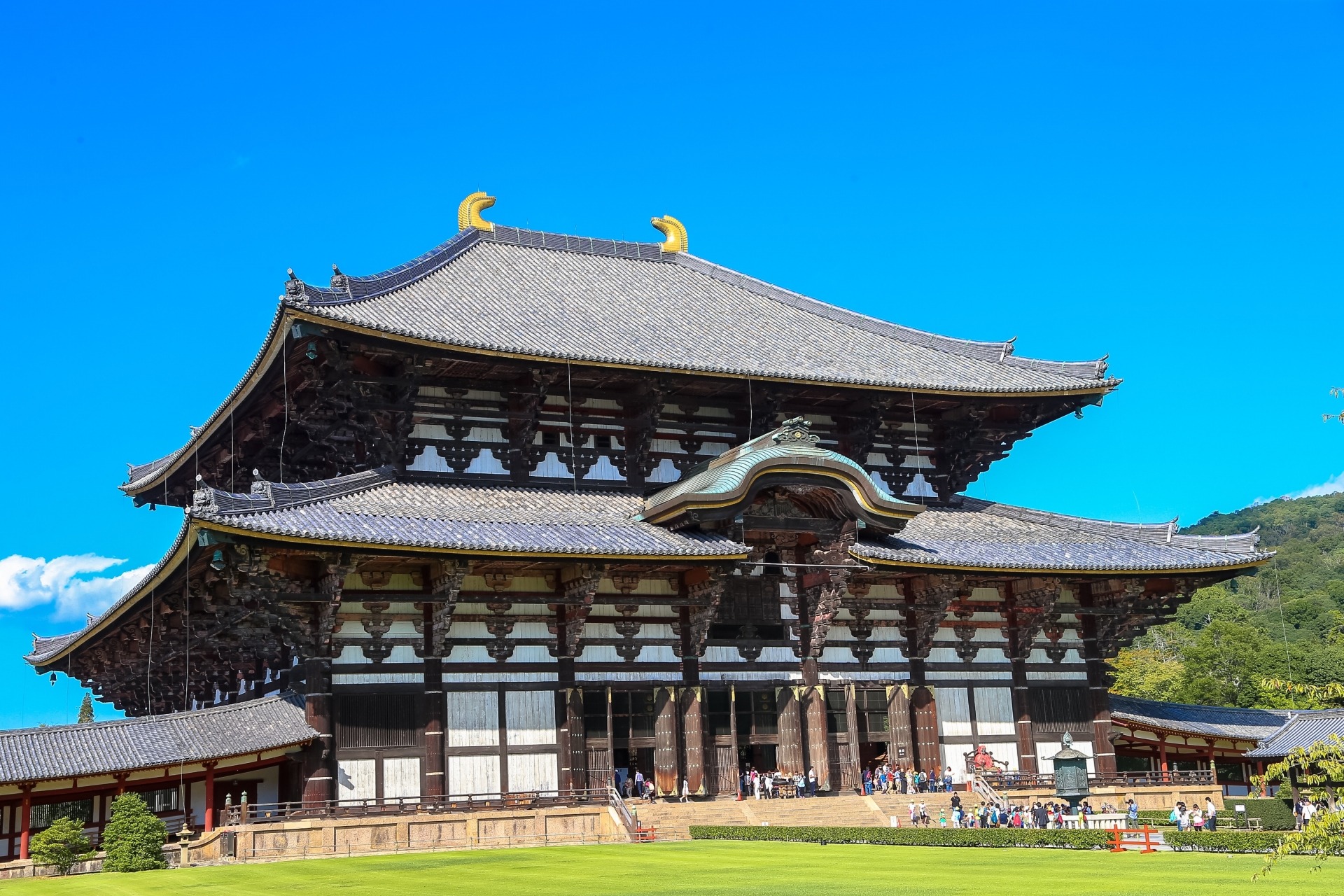 精進とは?本来の意味と現代での使い方|精進料理や精進潔斎も紹介 | 仏陀倶楽部® / Buddha CluB