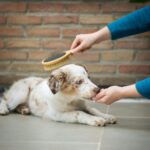 掃除を「心を磨く修行」として見つめ直す