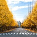 老いる父と運転免許返納――親子で向き合う難しさ