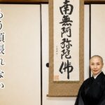 「もう頑張れない」って言ったら、負けですか――お釈迦様の「中道」が教える、ちょうどいい頑張り方